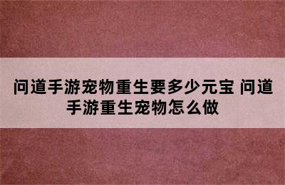 问道手游宠物重生要多少元宝 问道手游重生宠物怎么做